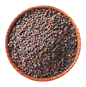 Mustard Seeds